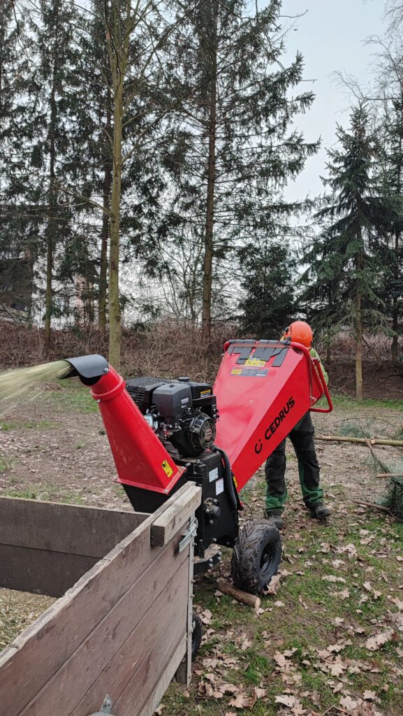 Pracownik firmy Olmex rozdrabnia gałęzie drzew iglastych przy użyciu rębaka. Nysa, województwo opolskie