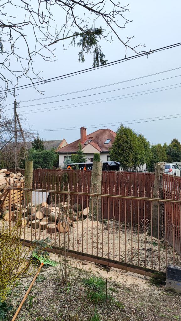 Wycinka Drzew - Grodków - Opolskie